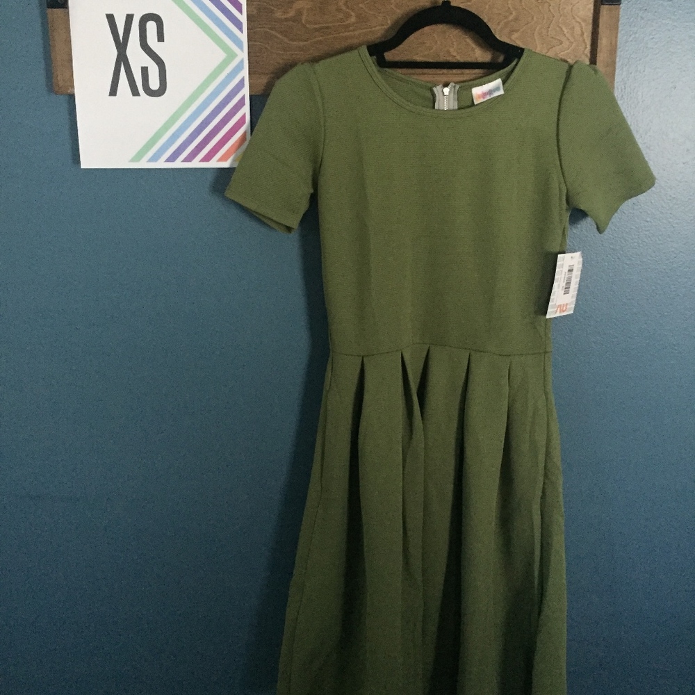 NWT XS LuLaRoe Amelia dress